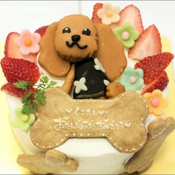画像 犬のバースデーケーキ♪ の記事より 1つ目