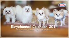 $リリーチャンネル-2014年カレンダー