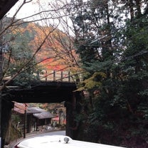 ブログ投稿画像