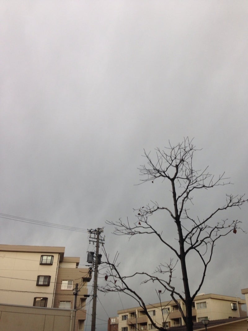 投稿写真