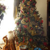２０１３年のクリスマスツリーやっとできました(^_-)-☆の画像