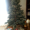２０１３年のクリスマスツリー(^^♪の画像