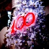 来年、宝塚100周年☆の画像