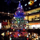X'masツリー2013✩Maroon 5 - Happy Christmasの記事より