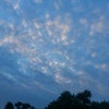 ◆朝の空の画像