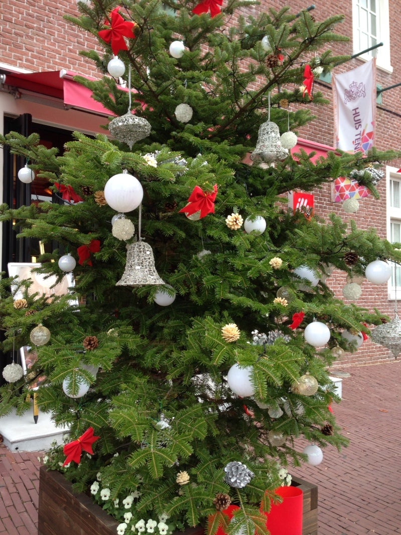 __.JPG