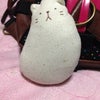 可愛い\(//∇//)\の画像
