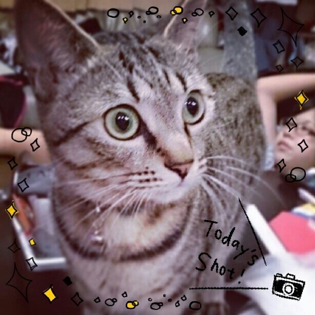おはようの記事画像