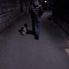 遅くなりましたがの画像