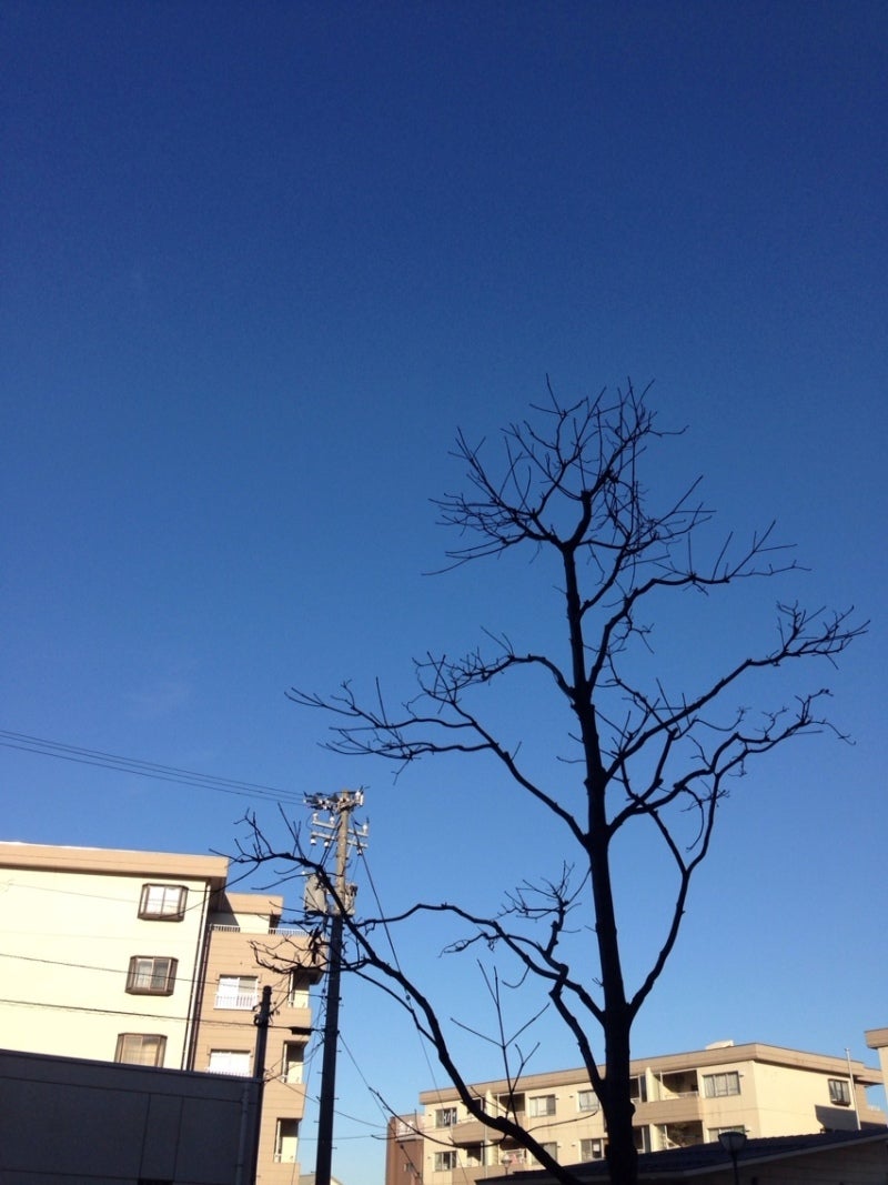 投稿写真