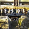 新年・神社巡りin静岡の画像