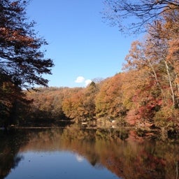 画像 年内最後の紅葉ツアー★② の記事より 1つ目