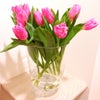 Tulips♡の画像