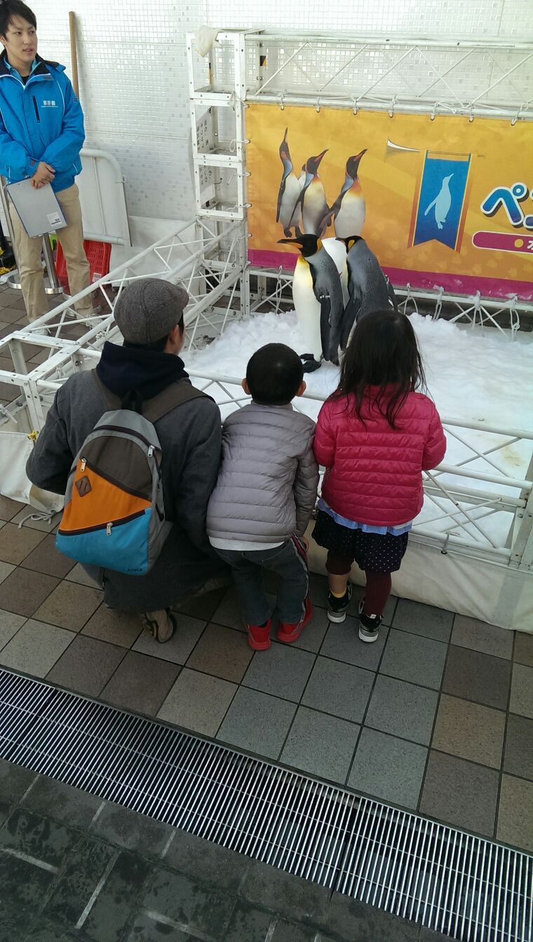 海遊館行ってきた！の記事画像