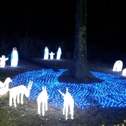 画像 静岡県続き☆ TT の記事より 4つ目