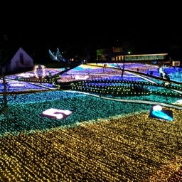 画像 静岡県続き☆ TT の記事より 5つ目