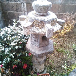 2014年 初雪