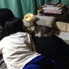 スフィンクスの居る生活の画像