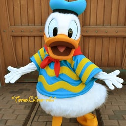 画像 ハピネスを取り戻せ！ の記事より 16つ目
