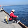 H25.3.4(月) 岸和田漁港でハネ釣り[e:343]の画像