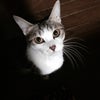 可愛いと言われる気満々の画像
