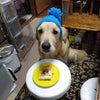 甥っ子の画像