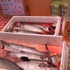 スーパーの魚の画像