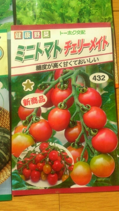 ミニトマト【キャロルパッション】の…魅力～♪ | たみちゃん農園のブログ