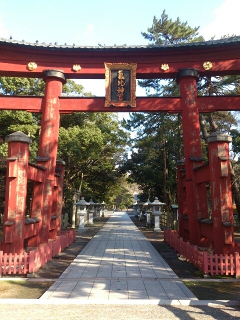 お久しぶりでございます！の記事画像