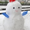 東京の雪の画像