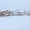ゆきゆきゆき〜☃♩☃♩☃♩の画像