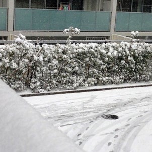雪振れば 冬ごもりせるの画像