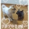 今日の1枚☆の画像