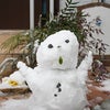 雪だるまを作ったという経験値の画像