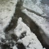 雪との闘いの画像