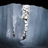 田舎都会からの便り　氷のカーテンの画像
