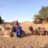 【モロッコ8日目③】ラクダに乗って砂漠に夕日を見に行きましたの画像