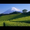 富士山の日の画像