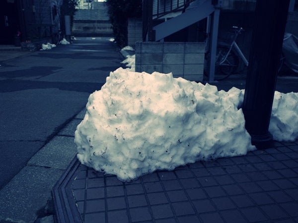 なぜ0度以上なのに雪は溶けないのか 賢者達の宴 日本の精神と伝統を世界に発信