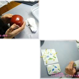      20140306