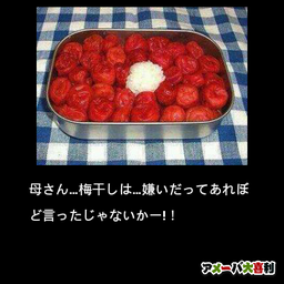 母さん…梅干しは…嫌いだってあれぼど言ったじゃないかー!！