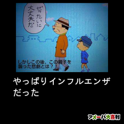 やっぱりインフルエンザだった