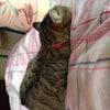 ワンナイトラブの画像