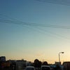 ((＾ω＾≡＾ω＜ｷﾞｬｱｱｱｱｱｱｱの画像