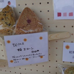 画像 自由が丘マルシェ&amp;つながりフェスティバル、ありがとうございました。 の記事より 6つ目