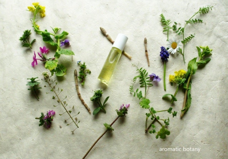4月12日ワークショップ　aromatic botany