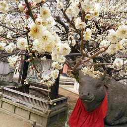 2014年北野天満宮２