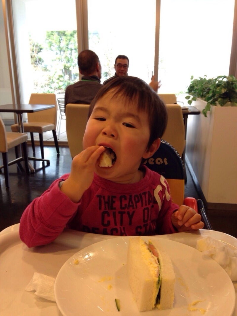 今日の息子の記事画像