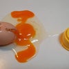 ( ・ｇ・)うそーんの画像