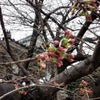 虚しい( p_q)の画像